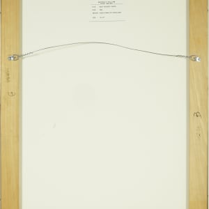 Bidet Bouquet, Venice by Beverly Hallam 