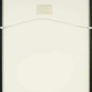 Marion Hosmer’s Rose by Beverly Hallam 