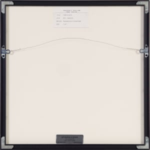 TORN FLOATS by Beverly Hallam 