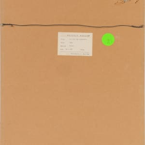 Pea Pod And Newspaper by Beverly Hallam 