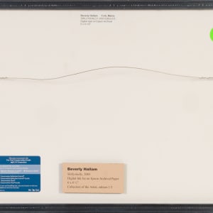 Shillyshally by Beverly Hallam 