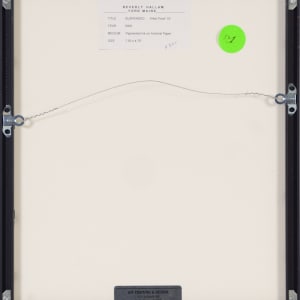 Suspended by Beverly Hallam 