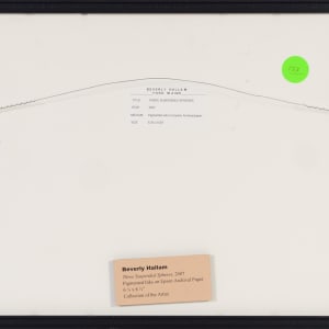 Three Suspended Spheres by Beverly Hallam 