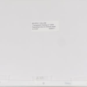 Transparent Overlays 2 by Beverly Hallam 
