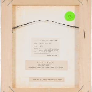 Silver Mask II by Beverly Hallam 