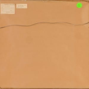 Night Carnations by Beverly Hallam 