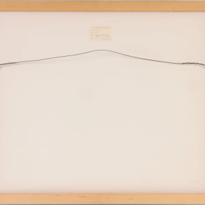 Hybrids by Beverly Hallam 