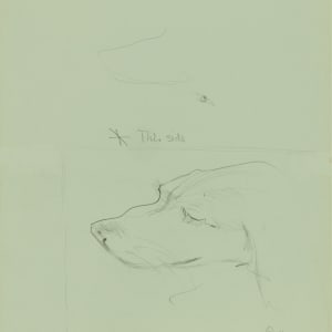 Duds by Beverly Hallam 