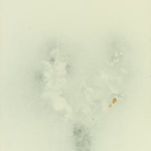 Black Barberry I by Beverly Hallam 