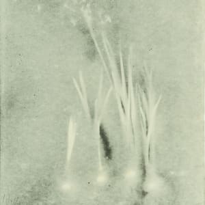 Title Unknown by Beverly Hallam 
