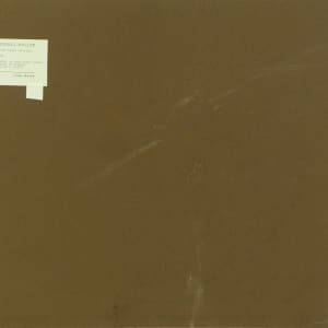 First Signs (Rooting) by Beverly Hallam 