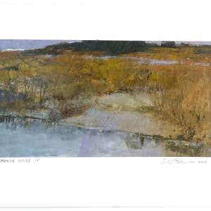 Marsh Study IV by andy braitman 
