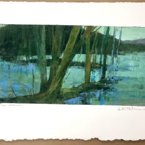 Savage Watershed I by andy braitman, Image 7.