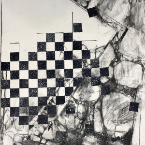 ALLUVIAL CHESS by andy braitman, Image 8.