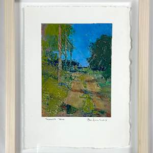 Summer Path by andy braitman, Image 4.