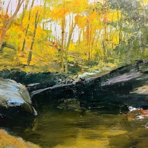 Wild Brookies by andy braitman 