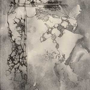 alluvial Island: floating I by andy braitman, Image 3.