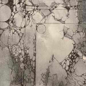 alluvial Island: floating I by andy braitman, Image 2.