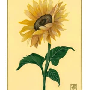 Fiori 366 by Cindy Cal  Image: 14th of August “Sunflower”