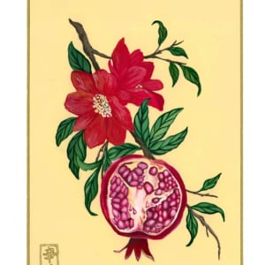 Fiori 366 by Cindy Cal  Image: 7th of August “Pomegranate”
