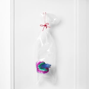 Betta Fish #7 (Embroidery on Plastic Bag series) by Angel Hui
