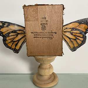 Monarch Messenger by Lori Morrell Whitaker, Image 2.