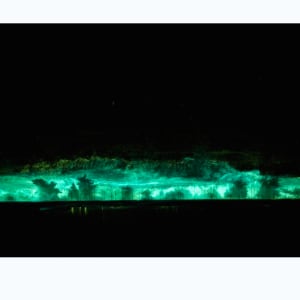 Santa Clara (Glow in the dark) by Nicolas Bedel