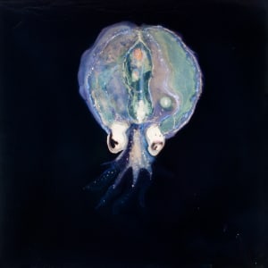 Pulpo 2 by Nicolas Bedel