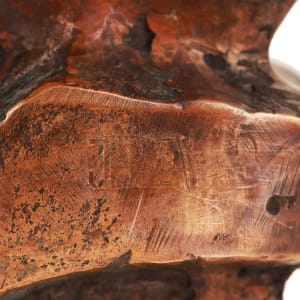 Our Everyday Freedom by Peter Jecza 