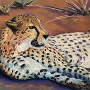 Cheetah Resting by Stuart Burton, Image 1.
