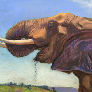 Elephant Drink by Stuart Burton