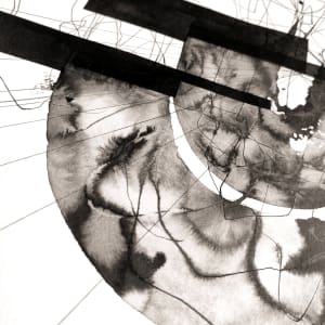 Belonging by Aga Koch 