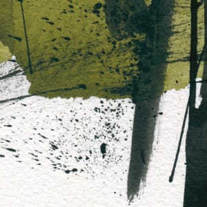 Contemplating Moss by Aga Koch 