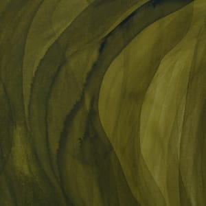 Olive veils - Diptych by Aga Koch 