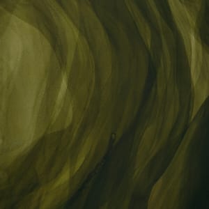 Olive veils - Diptych by Aga Koch 