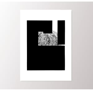 Inwards by Aga Koch 