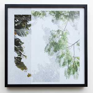 forest_2.214 - 28.518 by Sandra Köstler