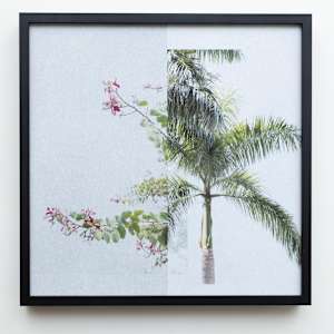 forest_5.295 - 28.518 by Sandra Köstler