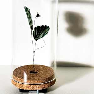 Time Flies I by Nina Kozelj, Image 4.