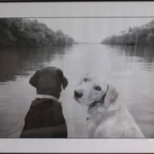 Look Back by Keith Auerbach