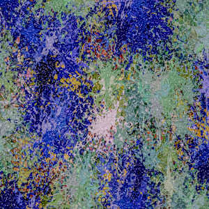 0088 Irisies by STRBRST, Image 8.