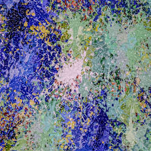0088 Irisies by STRBRST, Image 7.