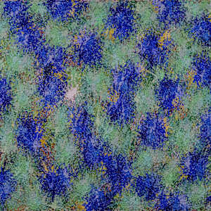 0088 Irisies by STRBRST, Image 4.
