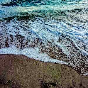 Naples, FL by Chanel Yvonne