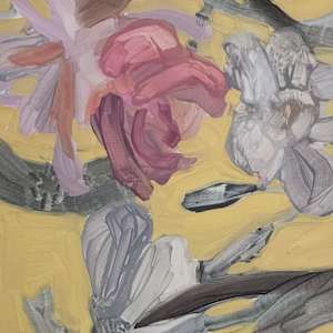 Snap in Place by Fiona Finlay