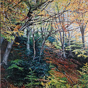 Inside the Forest by Mary A Kelly