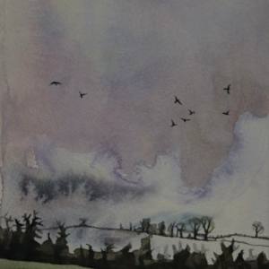 December Field by Ann Quinn