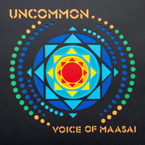 Uncommon Album Art by Jessey Jansen