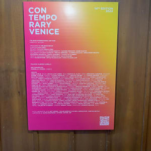 Flying high by Annabelle Volpi  Image: Venice exhibition March 24