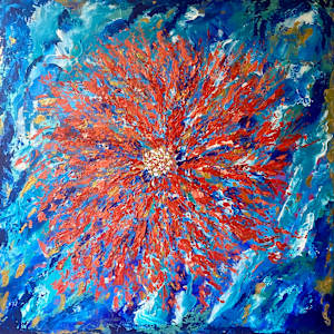 Coral bloom by Annabelle Volpi